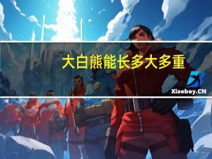 大白熊能长多大多重（大白熊能长多大）