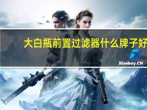 大白瓶前置过滤器什么牌子好