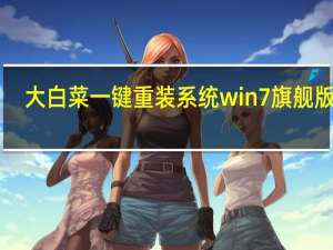 大白菜一键重装系统win7旗舰版 V6.0.2101.28 绿色免费版（大白菜一键重装系统win7旗舰版 V6.0.2101.28 绿色免费版功能简介）