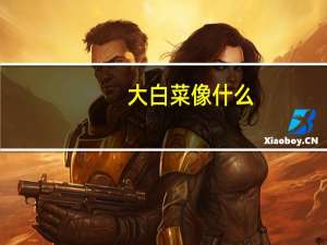 大白菜像什么