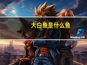 大白鱼是什么鱼