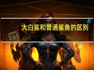 大白鲨和普通鲨鱼的区别