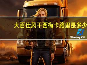 大百仕 风干西梅卡路里是多少