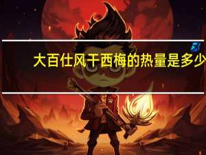 大百仕 风干西梅的热量是多少