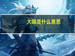 大皞是什么意思