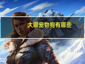 大眼宠物狗有哪些