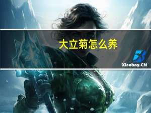 大立菊怎么养：避免枝条重叠