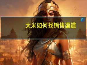 大米如何找销售渠道
