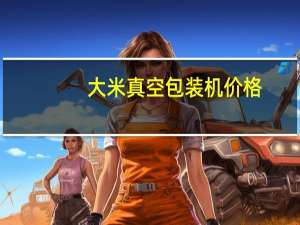 大米真空包装机价格