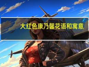 大红色康乃馨花语和寓意（红色康乃馨寓意）