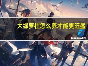 大绿萝柱怎么养才能更旺盛