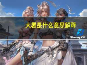 大署是什么意思解释（大署是什么意思）
