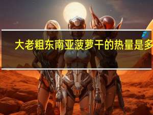 大老粗 东南亚菠萝干的热量是多少