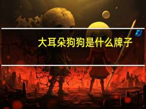 大耳朵狗狗是什么牌子
