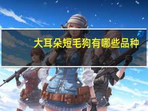大耳朵短毛狗有哪些品种（大耳朵短毛狗）