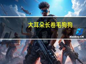 大耳朵长卷毛狗狗