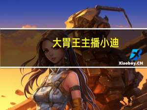 大胃王主播小迪（快手大胃初安迪）
