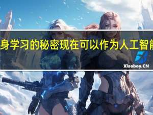 大脑终身学习的秘密现在可以作为人工智能的硬件出现