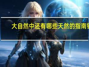 大自然中还有哪些天然的指南针