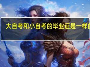 大自考和小自考的毕业证是一样的吗