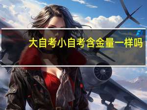 大自考小自考含金量一样吗