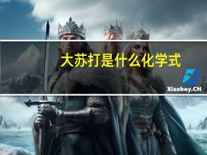 大苏打是什么化学式