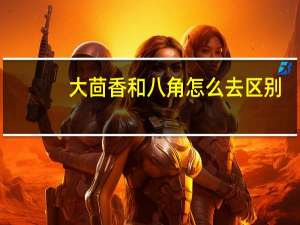大茴香和八角怎么去区别（大茴香和八角的区别）