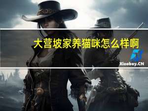 大营坡家养猫咪怎么样啊