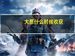 大葱什么时候收获