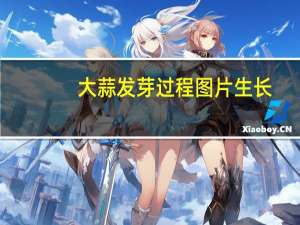 大蒜发芽过程图片 生长（大蒜发芽过程图片）