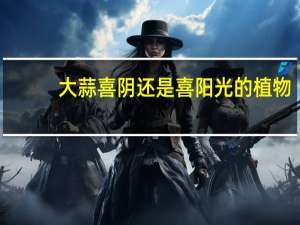 大蒜喜阴还是喜阳光的植物