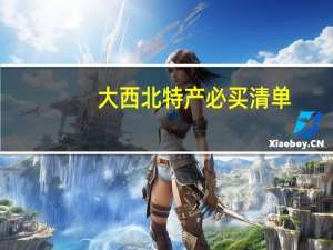 大西北特产必买清单