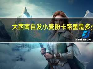 大西南 自发小麦粉卡路里是多少