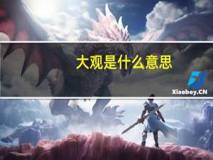 大观是什么意思