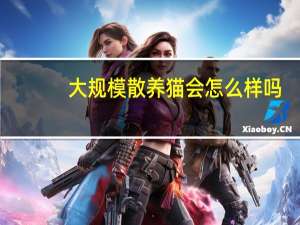 大规模散养猫会怎么样吗