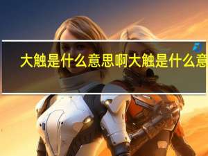 大触是什么意思啊 大触是什么意思