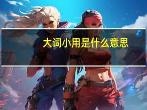 大词小用是什么意思