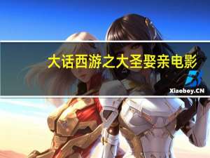 大话西游之大圣娶亲电影（大话推广员）