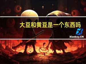 大豆和黄豆是一个东西吗