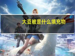 大豆被是什么填充物