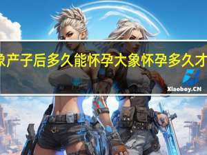 大象产子后多久能怀孕 大象怀孕多久才会生出来