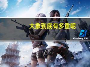 大象到底有多重呢