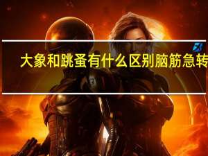 大象和跳蚤有什么区别脑筋急转弯