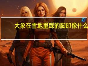 大象在雪地里踩的脚印像什么
