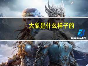 大象是什么样子的