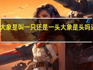 大象是叫一只还是一头 大象是头吗还是只