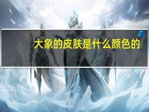 大象的皮肤是什么颜色的