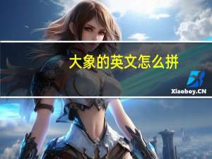 大象的英文怎么拼