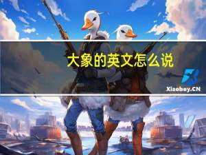 大象的英文怎么说