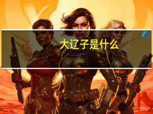 大辽子是什么